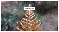 Desktop Screenshot of davidlopez.fr